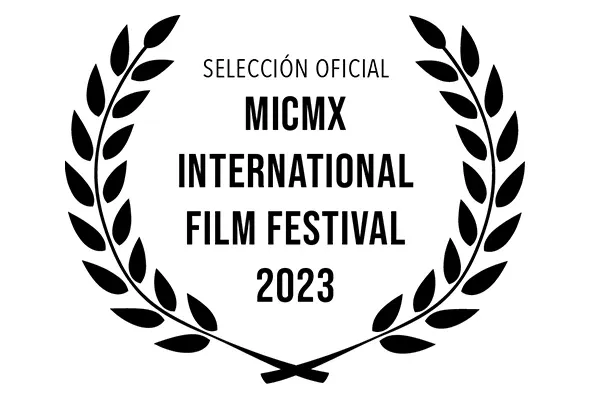 Festival 20